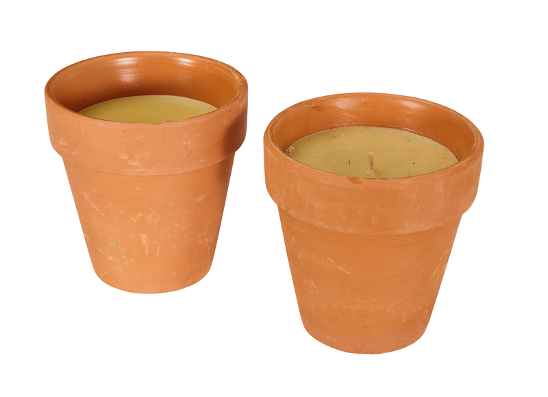 BOUGIE EN POT TAILLE  3999991647981 (3999991647981)