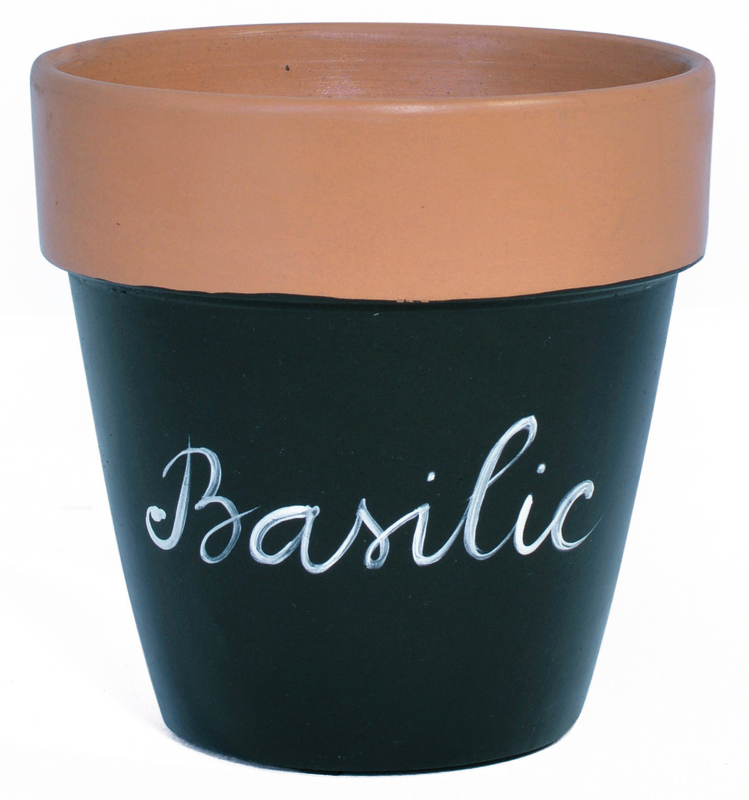 POT BASILIC  3999991650011 