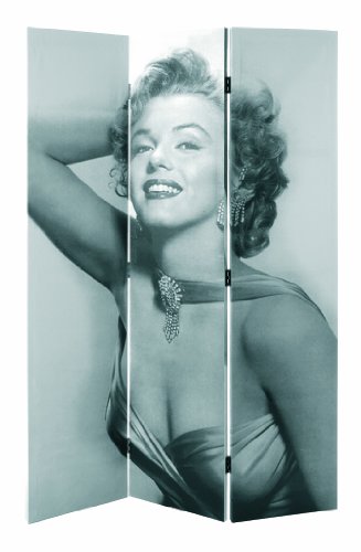 30525 paravent bois massif sapin/toile noir/blanc