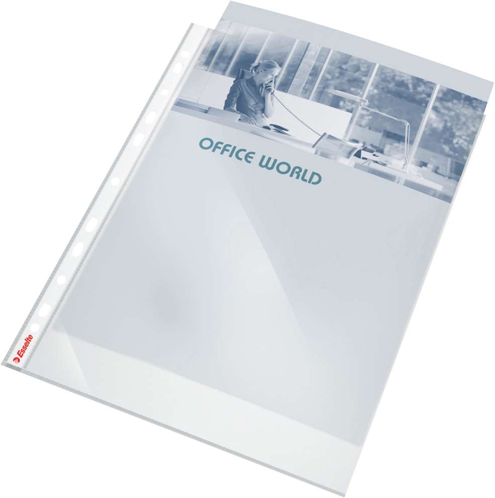 50 POCHETTES PERFOREES ESSELTE