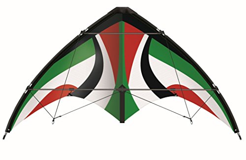 - 1033 - cerf-volant de sport dirigeable - rapi...