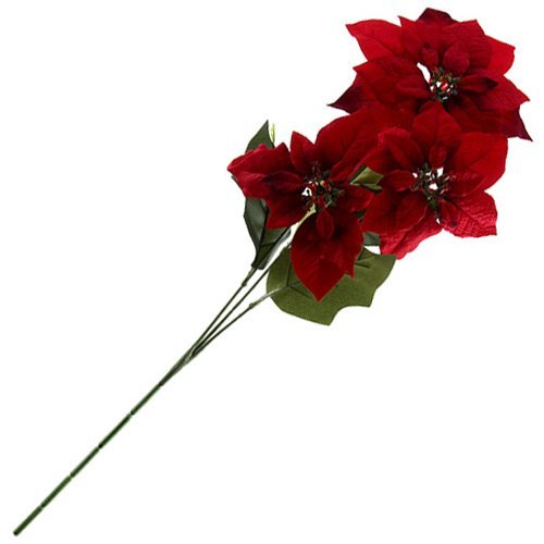 8531027 décoration 8220294 branches poinsettia ...