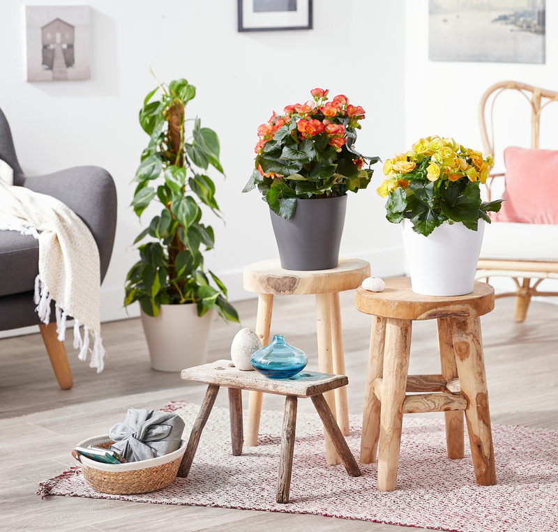 CACHE POT SELLER 15CM  4002477574196 