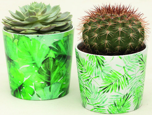  CACHE-POT BOTANICAL TROPICAL GARDEN code EAN 4002477617749 