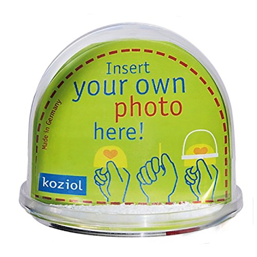 6222101 big boule à neige avec photo plastique ...