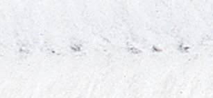 RAYHER - CINIGLIA BIANCO 06X30CM BUS. 25PZ - RA...