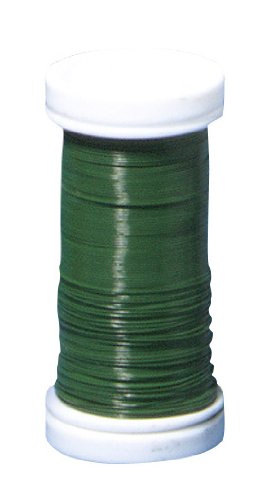 RAYHER hobby 2419113 calibre - 0,30 mm, 100 m b...