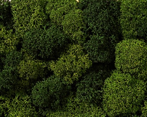 - 08621 - modélisme ferroviaire - outil - mouss...