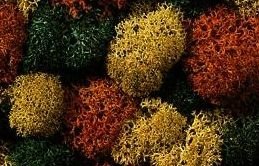 NOCH Mousse de décoration couleur automnale, 35...