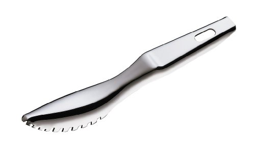 26k4010 ecailleur pour le poisson