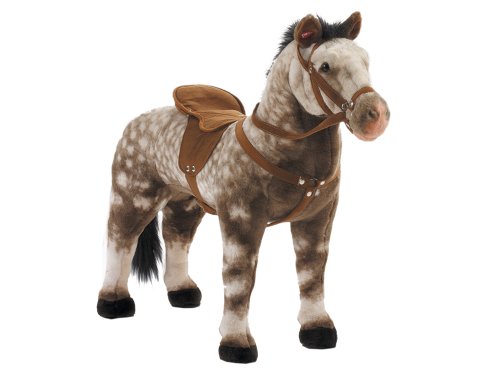 - 58933 - cheval debout - robe gris pommelé - a...