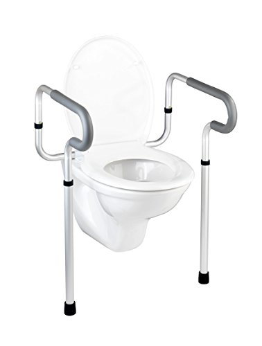 20925100 secura barre d'appui pour wc 67,5 x 8 ...