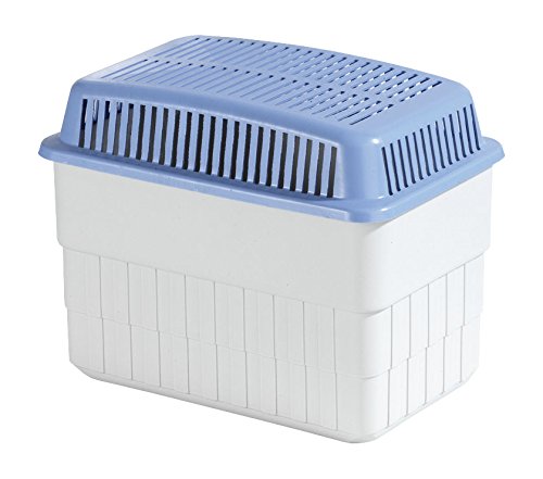 Recharge pour absorbeur-humidivore 2 x 2 kg - B...