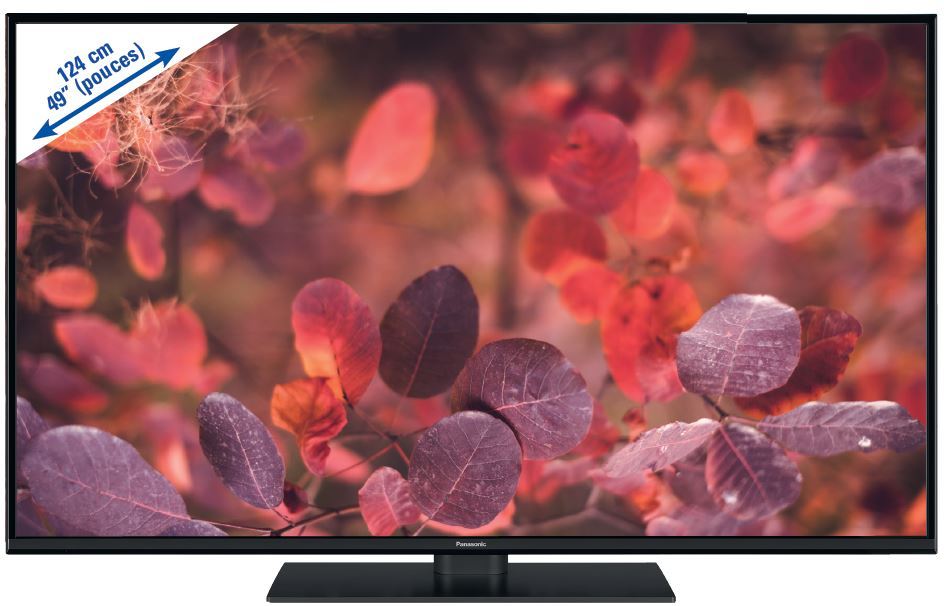 TX-49FX550E TV ULTRAHD-4K