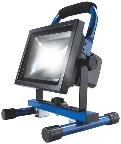 as-Schwabe puce LED avec batterie 20 W pour l'e...