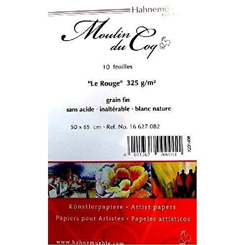 Hahnemühle 10 Feuilles Papier Aquarelle 325 Gr ...