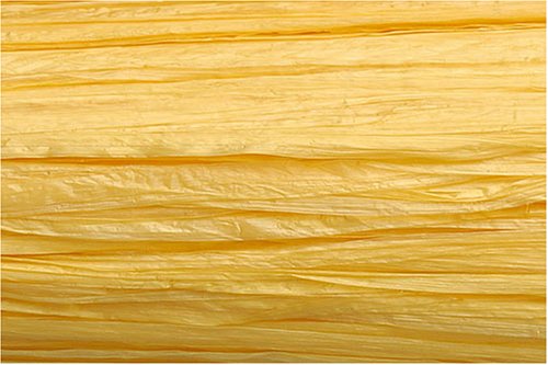 KNORR prandell 8534006 30 mètres de raphia Jaun...