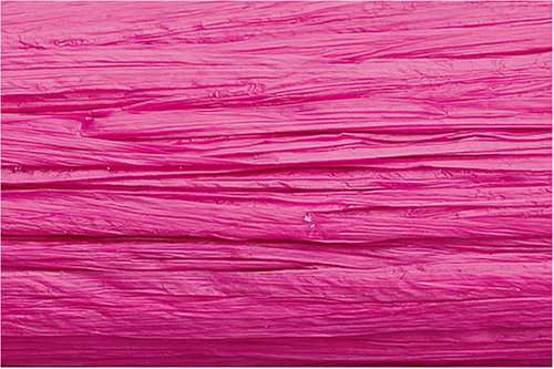 KNORR prandell 8534024 30 mètres de raphia Rose...