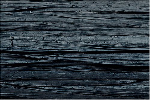 KNORR prandell 8534061 30 mètres de raphia, Noi...