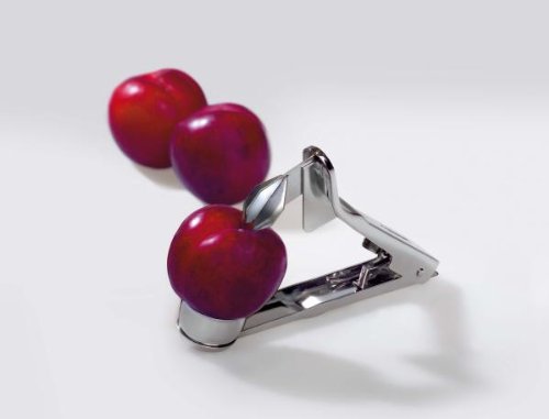 31052 dénoyauteur à prunes quetsche et mirabelles