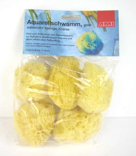 2 paquets de 5 Eponges naturelles pour peinture...