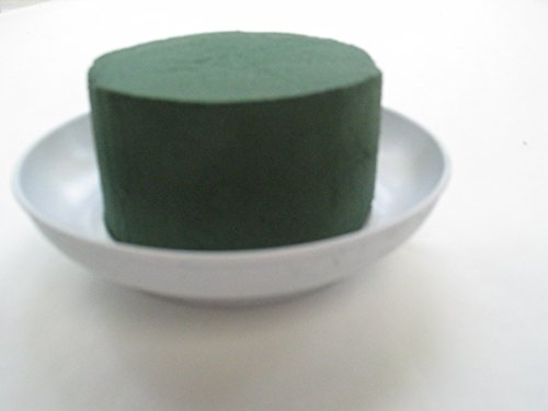 Lot de 8-tischgestecke piquer, tabula steckmoos...