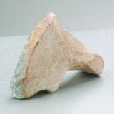 Stéatite bruts dauphin 8-10 cm