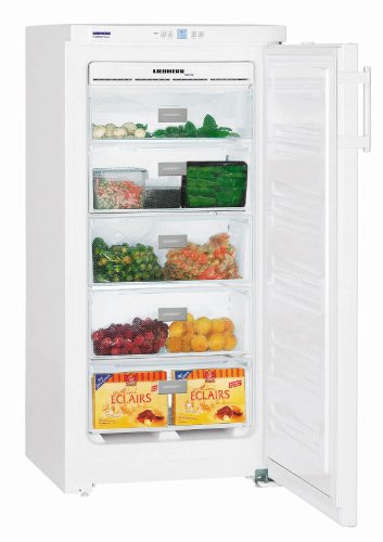 Gnp 1913 comfort nofrost upright freestanding b...