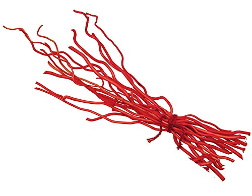 10134 03 1002 kuwastäbe env. 55 cm 20 bâtonnets...