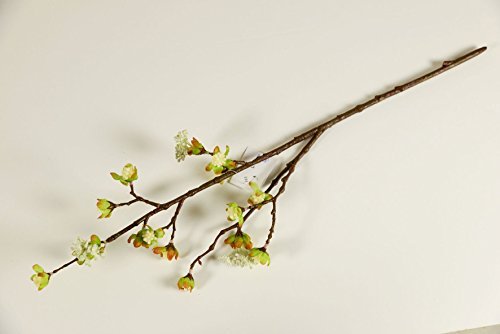 Rameau de Fleurs Vert/Blanc/marron, 60 cm, plas...