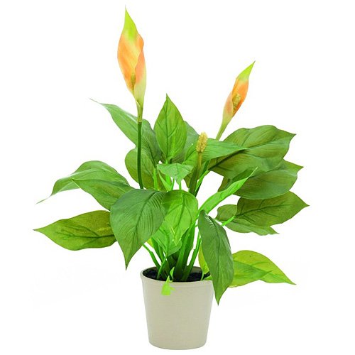 61408 plante de décoration spathiphyllum vert 5...