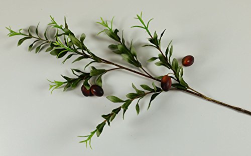 Rameau d'olivier naturel h?: 94 cm plastique/te...