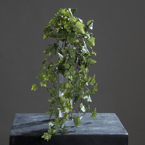 Efeuhänger l70cm vert givré