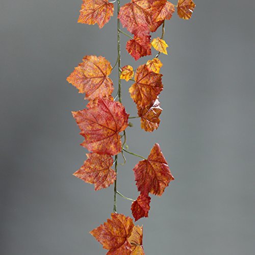 Feuilles d'automne guirlande rurality scindapsu...