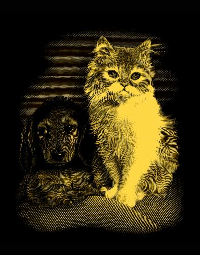 135005 - scraper or - chien et chaton