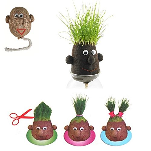 Monsieur Herbe - Grasshead - Petit modèle de 5 ...