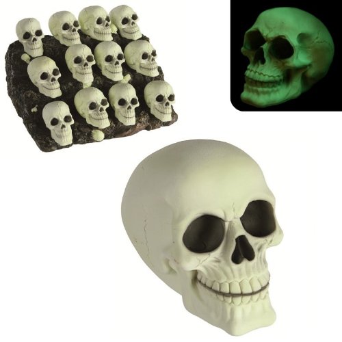 Un petit crane phosphorescent - Tête de mort ph...