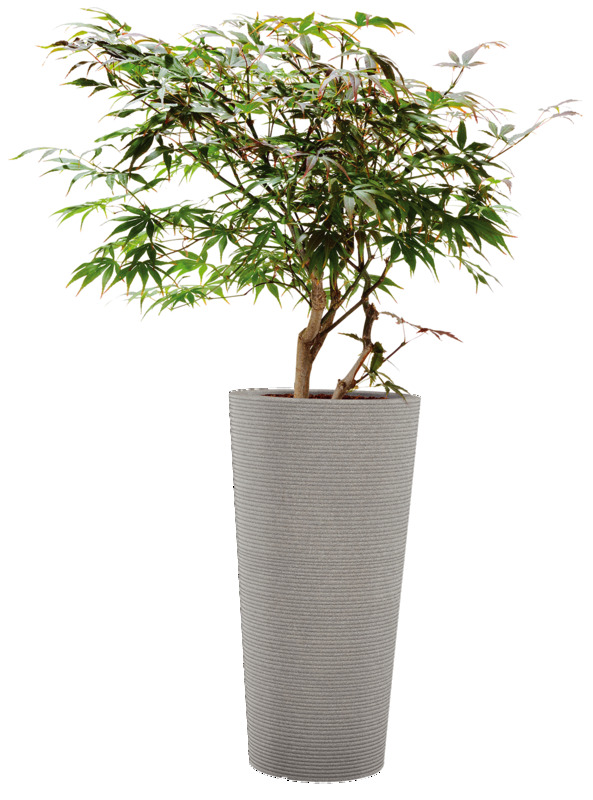 POT CONEO H 70 CM DEROMA