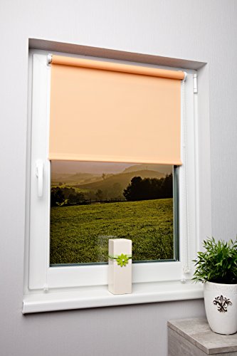 Lumière Du Jour Store occultant apriko - Pince ...