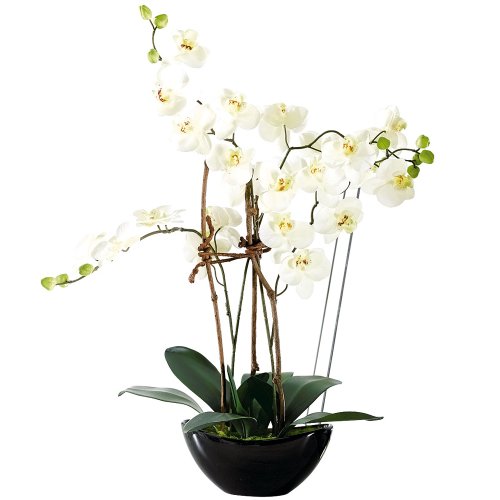 Plante artificielle orchidée avec cache-pot cér...