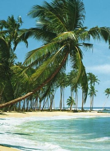 1art1 40524 Papier peint / Poster autocollant M...