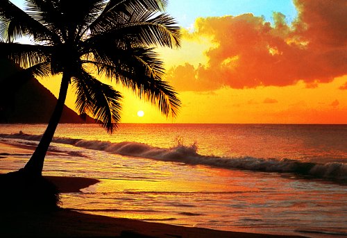 1art1 40542 Poster autocollant Modèle 