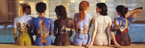 1art1 54196 Poster de Porte Pink Floyd Back Cat...