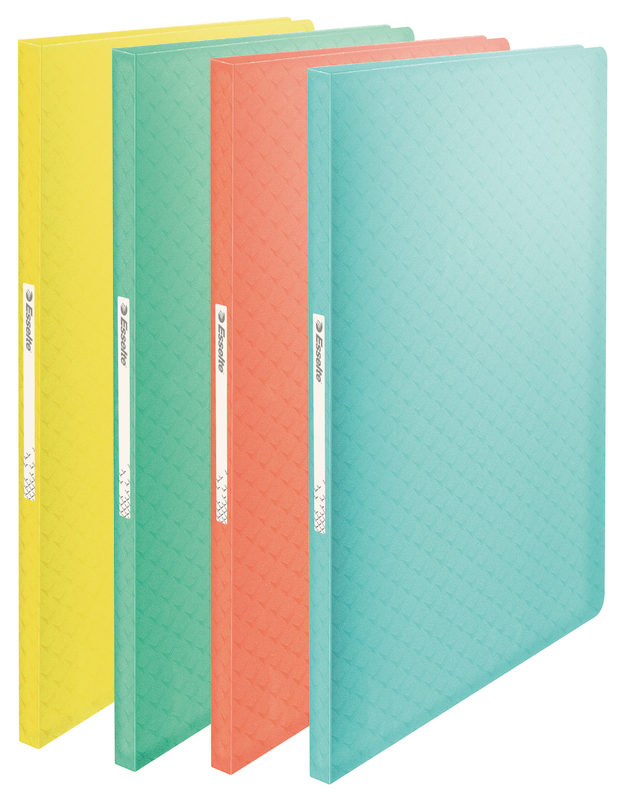 PROTÈGE DOCUMENTS 120 VUES COLOUR ICE ESSELTE