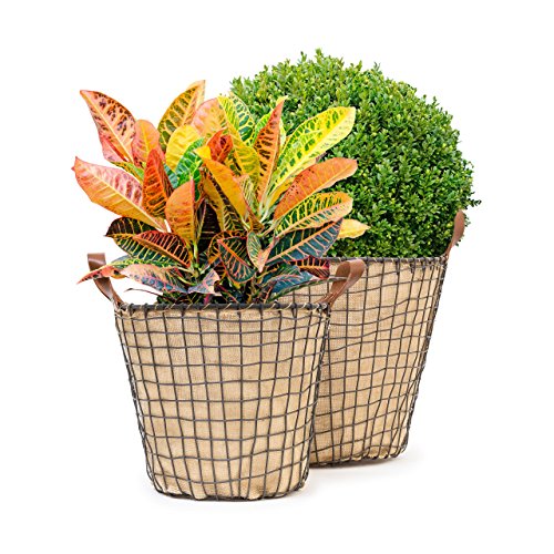 Lot de 2 paniers ronds hauts corbeille à fleurs...