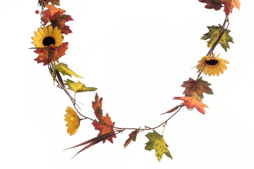 Brauns Heitmann 82271 Guirlande de fleurs de to...