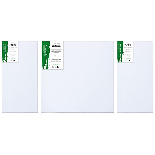 Lot de toiles à peindre - Triptyque - Châssis e...