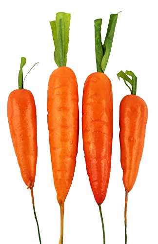 Carottes Carottes le Pick Orange 4054903012987 Unbekannt Carottes Carottes le Pick Orange 4054903012987 Unbekannt