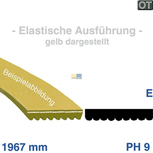 Courroie trapézoïdale multiple détendue 1967 PH...
