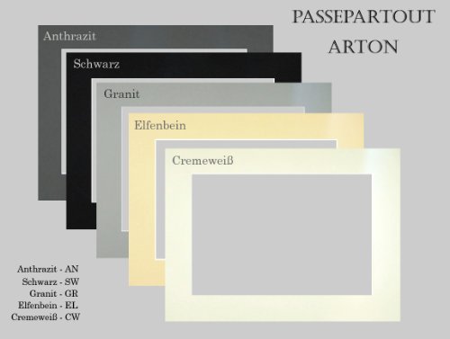Passe-partout ARTON 10 pièce 30x40 cm Noir avec l'extrait approprié pour 20x30 4055123360124 Homedeco-24